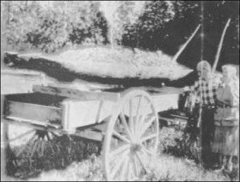 (Dugout canoe)