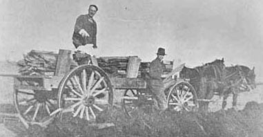 (Olympia Marsh)