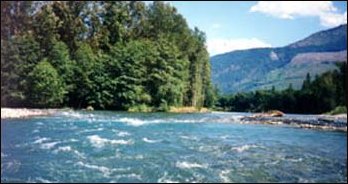 (upper Skagit river)