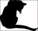 (Black Cat)